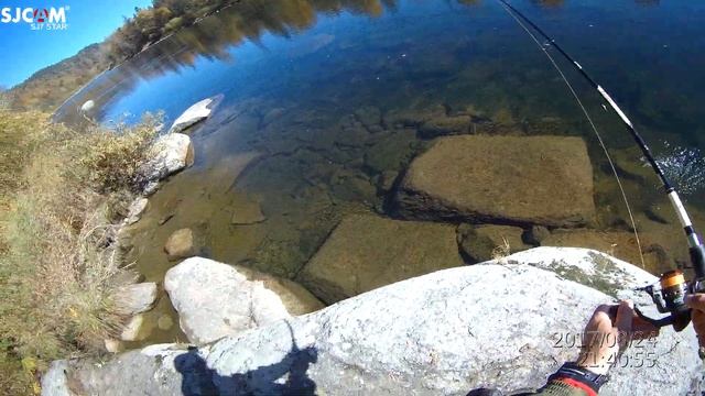 Хариус в зеркально чистой воде смотреть онлайн