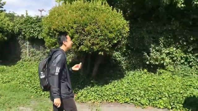 Mandarin 4 Final Video Project смотреть онлайн