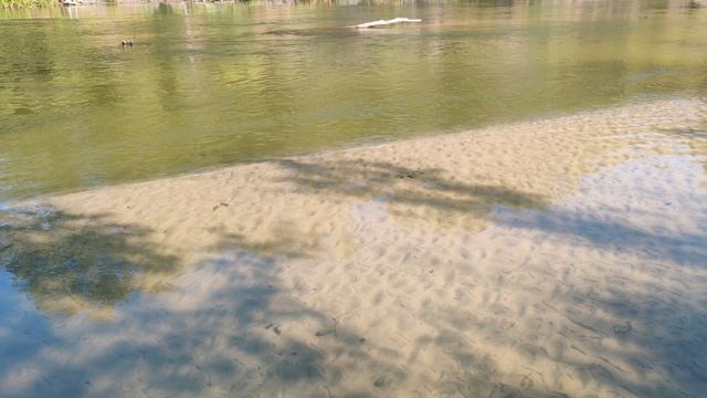 VID_20240907_084907 смотреть онлайн