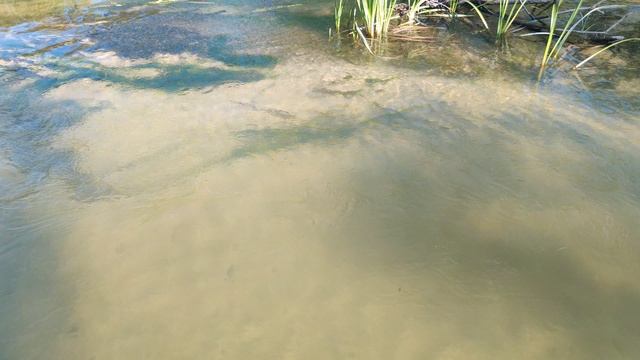 VID_20240907_085914 смотреть онлайн