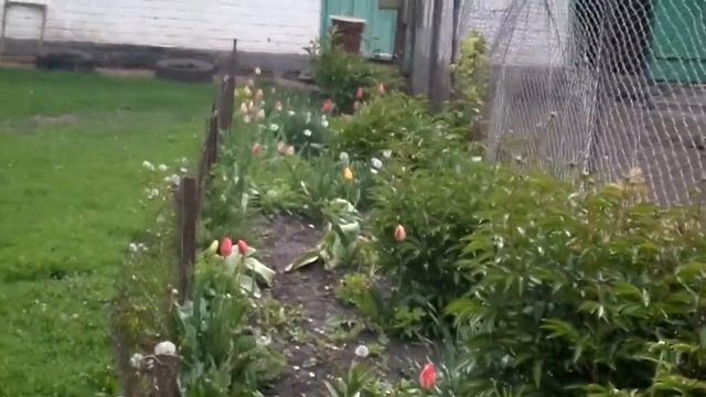 Борьба с травой. Сало. Пончики. Маки. Гора. Первый камень заложен. 08.-09.05.20 смотреть онлайн