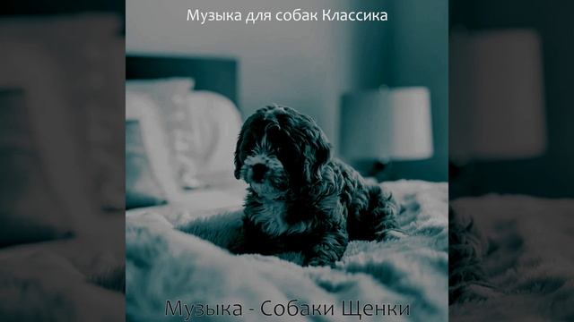 Видения (Дрессировка собак) смотреть онлайн