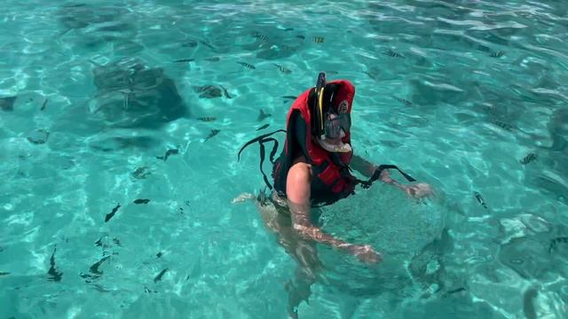 Занзибар. Снорклинг.