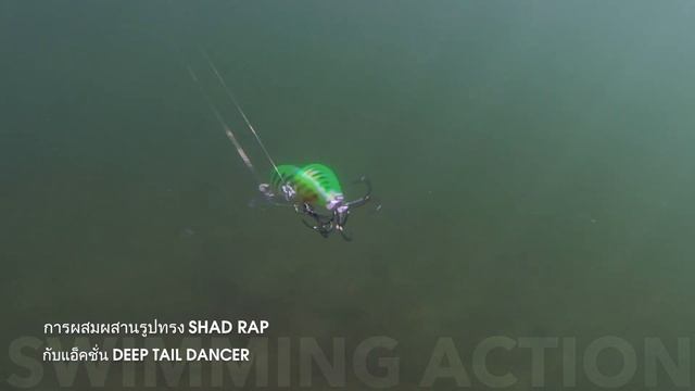 Rapala Shad Dancer смотреть онлайн