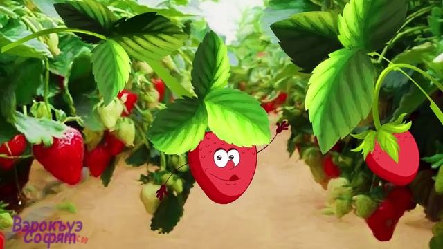 Пхъэщхьэмыщьэхэмрэ мэрак1уэхэмрэ смотреть онлайн