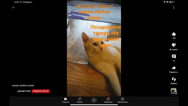 2 февраля 2023 г. смотреть онлайн