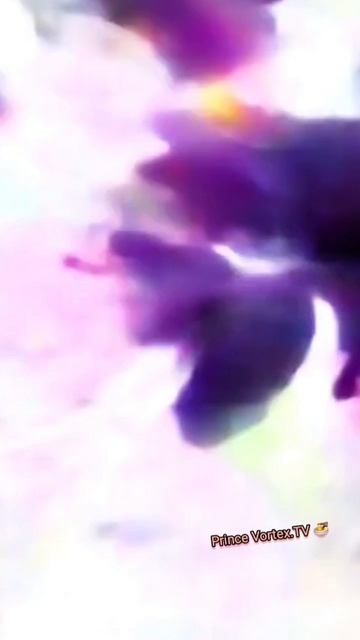 Animation Giri Vs Demon