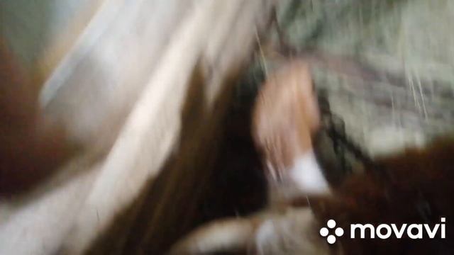 наконец то дождались. у нас пополнение. смотреть онлайн