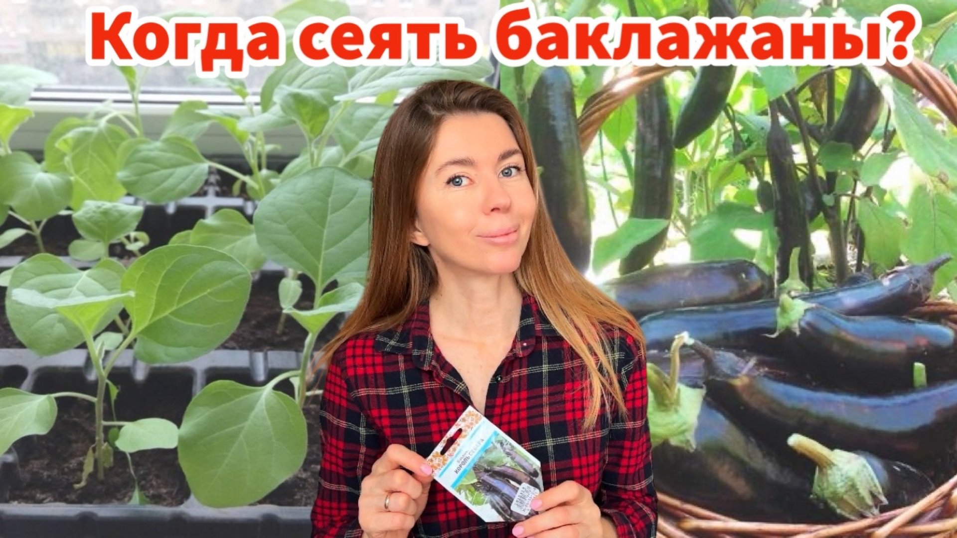 Когда сеять баклажаны на рассаду? Почему я не тороплюсь смотреть онлайн