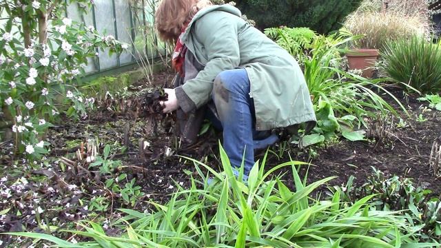 January of the Green Border - Year in the Life of a Border смотреть онлайн