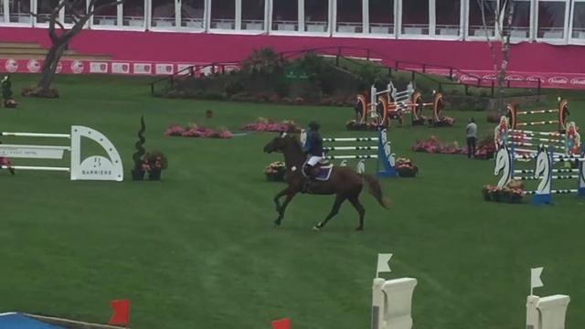 Alitta Dinard ranking class смотреть онлайн