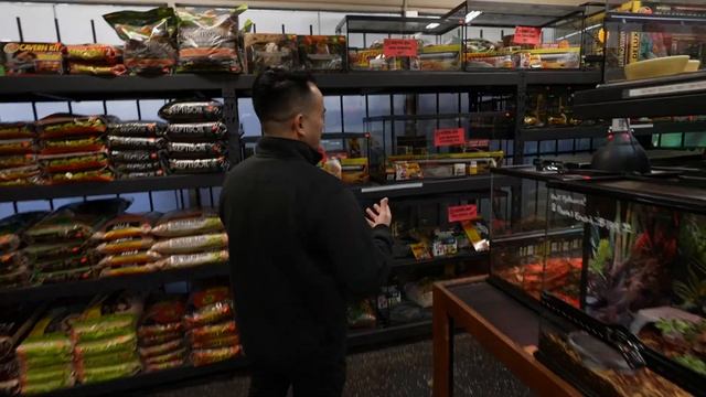 AQUARIUM SHOWROOM | LEOPARD GECKO SETUP | FLUVAL FLEX FRESHWATER | AQUARIUM CO-OP EASY FLOW смотреть онлайн