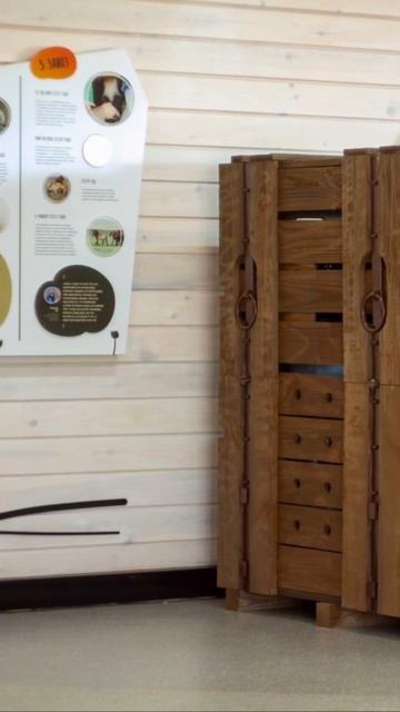 Экспозиция Дом дикой лошади, которую мы создали для Оренбургского заповедника смотреть онлайн