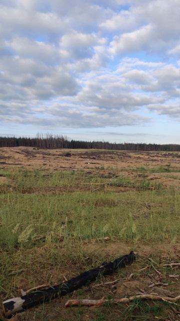 VID_20240614_183832 смотреть онлайн