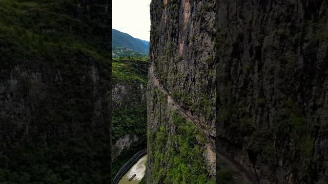 К вопросу о перенаселении Земли смотреть онлайн