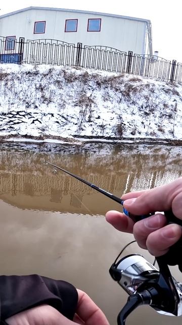 Gammarus. Возвращение в Семью смотреть онлайн