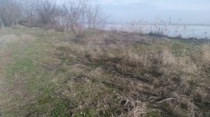 Природа наблюдения показывают