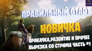BDO ☛ ПРАВИЛЬНЫЙ СТАРТ ДЛЯ НОВИЧКА☛ НАЧАЛО ЧАСТЬ #1