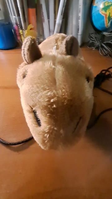 Я мусульман #капибара #смешно #мусульмане смотреть онлайн