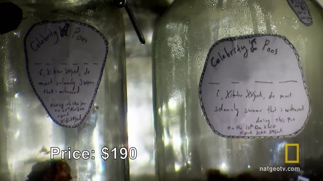 Celebrity Poo | Taboo: Extreme Collectors смотреть онлайн