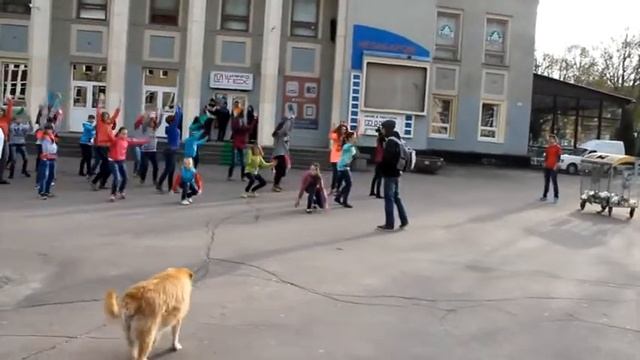 Флешмоб 16.04.2014 смотреть онлайн