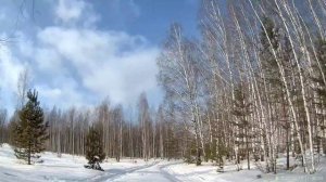 Мотоснегокат Русоход.mp4