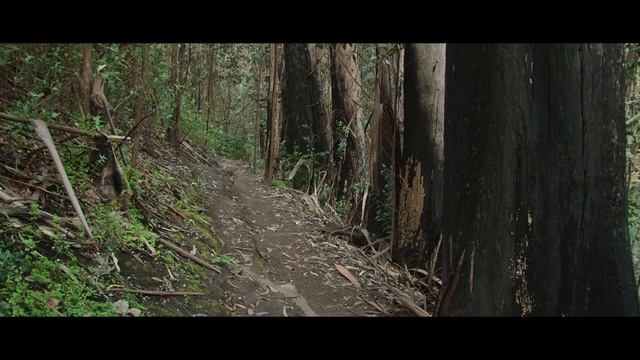 Zapato de China - Mina Calderón смотреть онлайн
