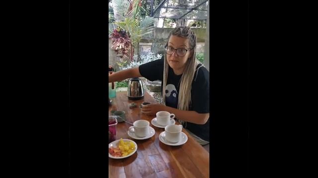 Чайный шифу уровня Бог смотреть онлайн