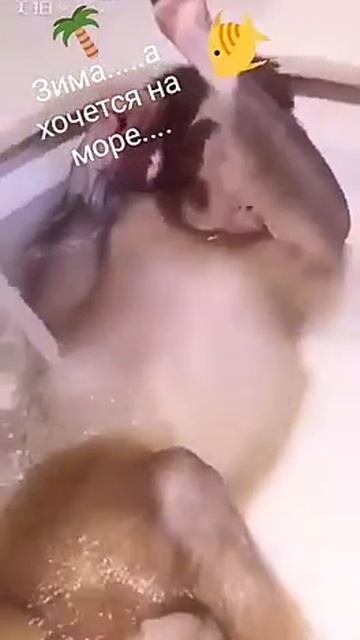 Смешное видео про обезьянку! смотреть онлайн
