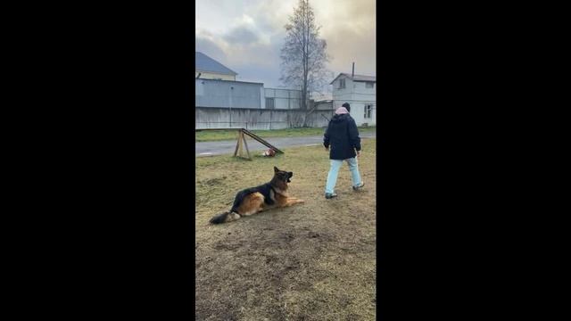 Вегард. Подготовка к IGP-1.