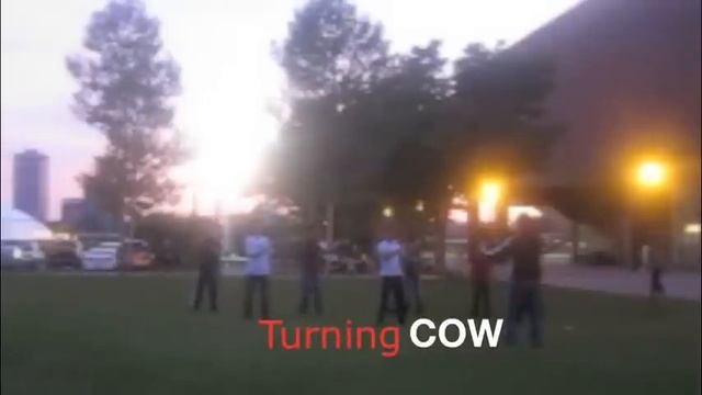 Last Summer Stand 2009 | MIT Qigong | Timelapse смотреть онлайн