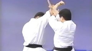 Энциклопедия киокушинкай каратэ