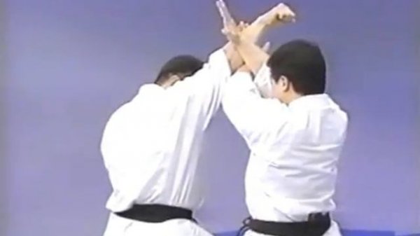 Энциклопедия киокушинкай каратэ