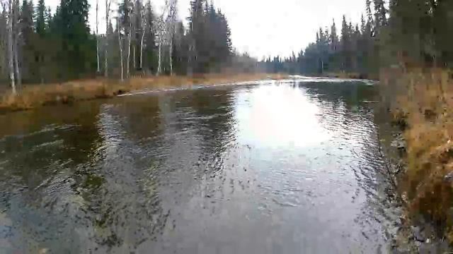 рыбалка на охотничьем участке. смотреть онлайн