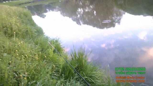 На зорьке смотреть онлайн