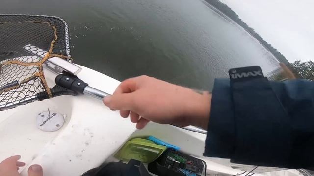 GALET ABBORRFISKE i Kalmarsund!! [Dag 2] - Patric gör det igen! ((2 KG+)) смотреть онлайн