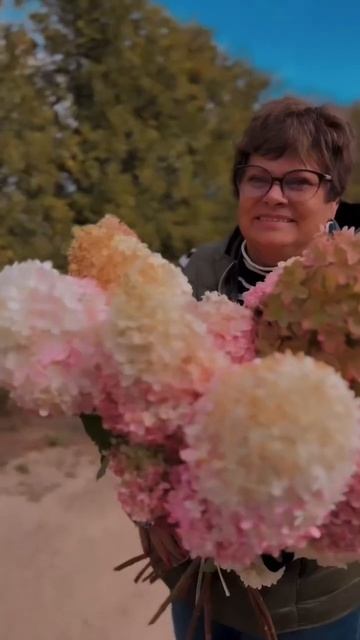 #весна #красота #гортензия #гортензии #flower #garden смотреть онлайн