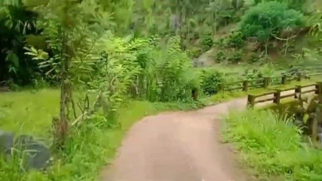 6 Acre Agrifarm River Side For Resort | Homestay For Sale | Coorg | Karnataka (85 Lakh) смотреть онлайн