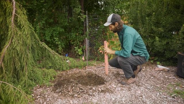 Tree Tubes Seed Planting смотреть онлайн