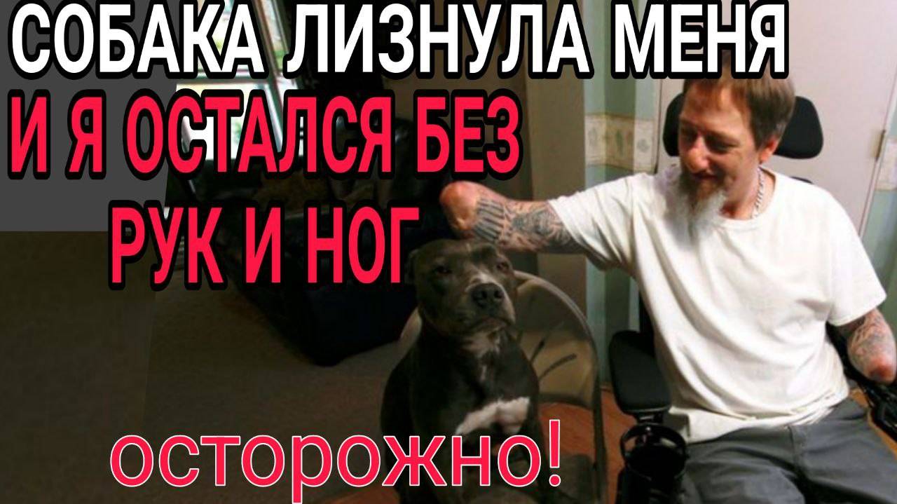 ИСТОРИЯ ГРЕГА МАНТЕЙФЕЛЯ которого лизнула собака и ЛИ ХУА согнутый человек