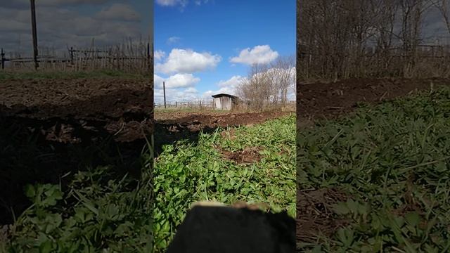 Борозды под картошку смотреть онлайн