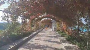 Описание отеля Мастер фэмили клаб Конаклы Турция.