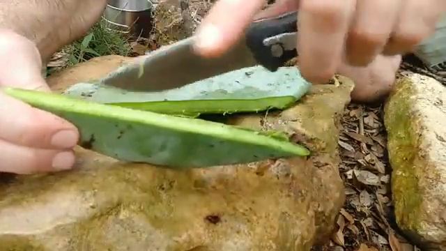 Demo: Herbal Wound Healing and Infection Management in a Remote Scenario смотреть онлайн