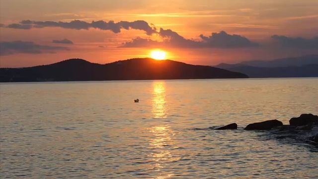 Кой направил е цветята - песен смотреть онлайн