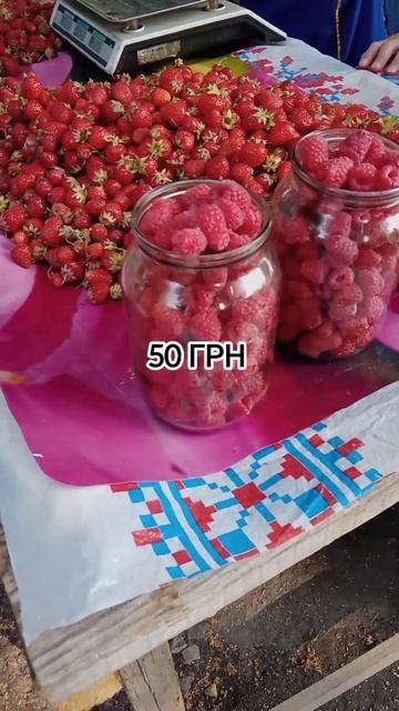 Полтава/Малина цена сегодня/рынок "Хитрый" на южном/ 21.06.2023 смотреть онлайн