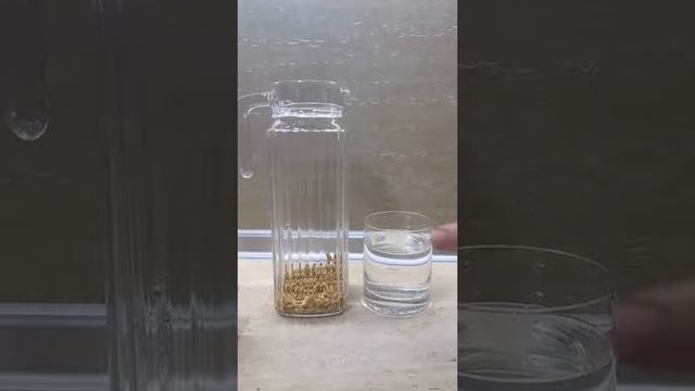 Восстановление ОВП воды с помощью Овса. смотреть онлайн