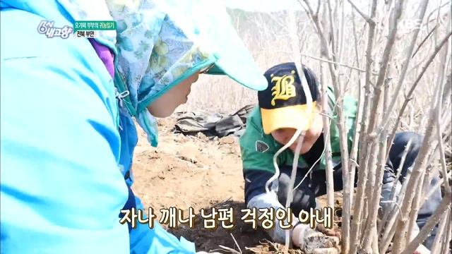 6시 내고향 - 오가피 부부의 귀농일기 - 전북 부안.20180329 смотреть онлайн
