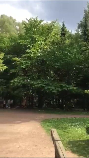 Ботанический (японский) сад смотреть онлайн