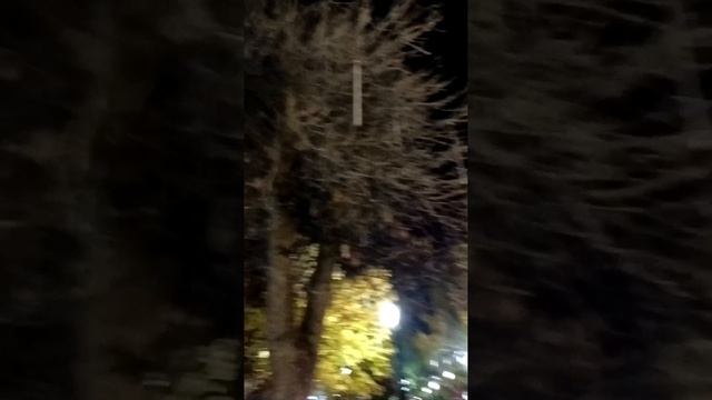 Прогулка по Краснодару смотреть онлайн