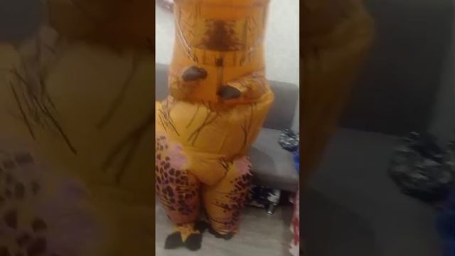 VID-20250115-WA0000.mp4 смотреть онлайн
